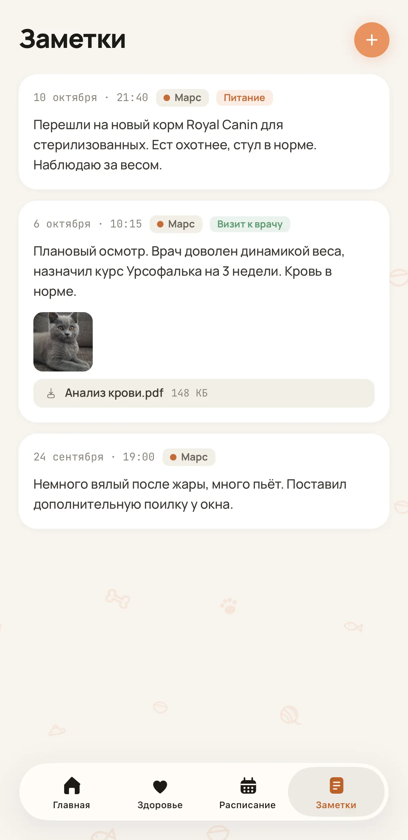 Экран «Заметки» в Curami: записи о визитах к врачу и прикреплённые файлы